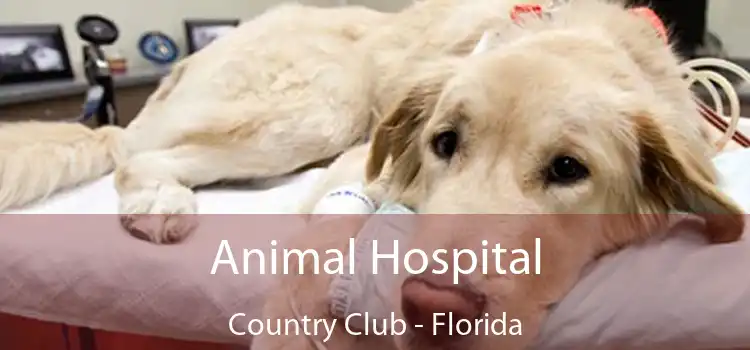 Animal Hospital Country Club - Florida