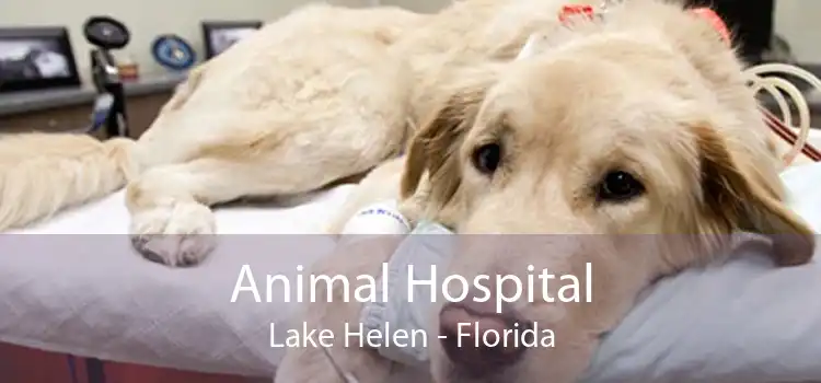 Animal Hospital Lake Helen - Florida
