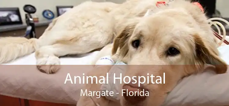 Animal Hospital Margate - Small, Affordable, And Emergency Animal Hospital