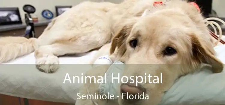 Animal Hospital Seminole - Florida