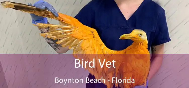Bird Vet Boynton Beach - Florida
