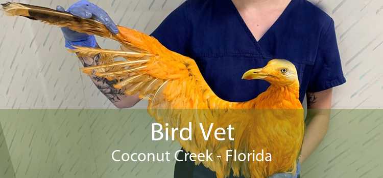 Bird Vet Coconut Creek - Florida