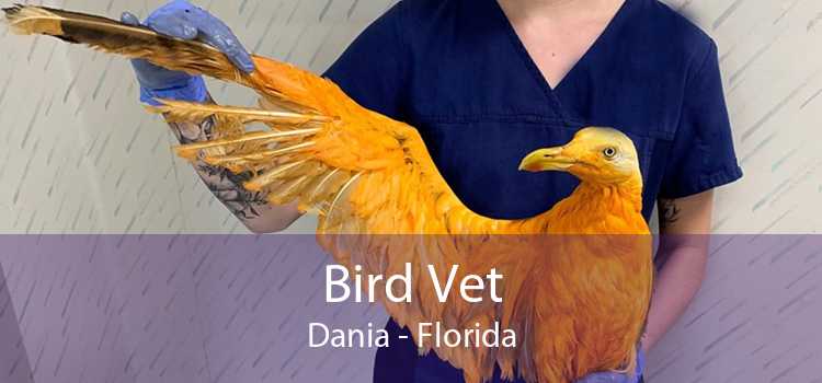 Bird Vet Dania - Florida