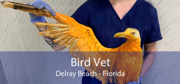 Bird Vet Delray Beach - Florida