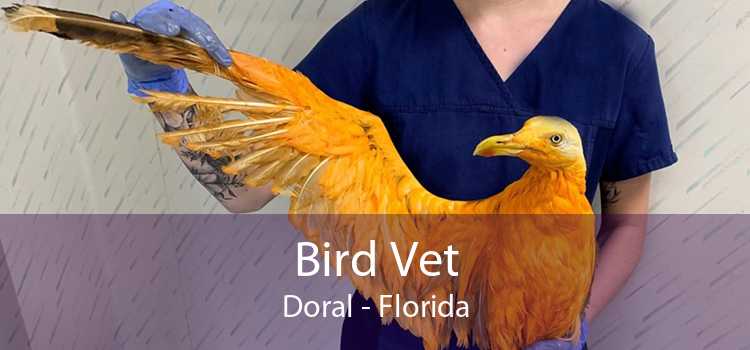 Bird Vet Doral - Florida