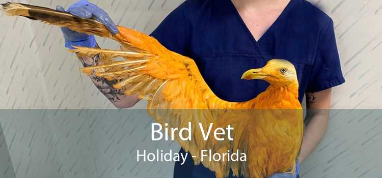 Bird Vet Holiday - Florida