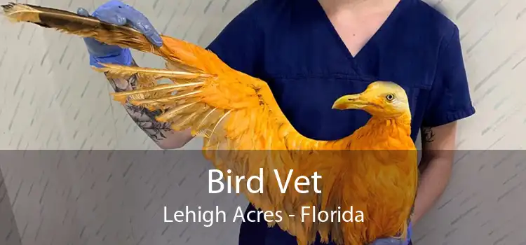 Bird Vet Lehigh Acres - Florida