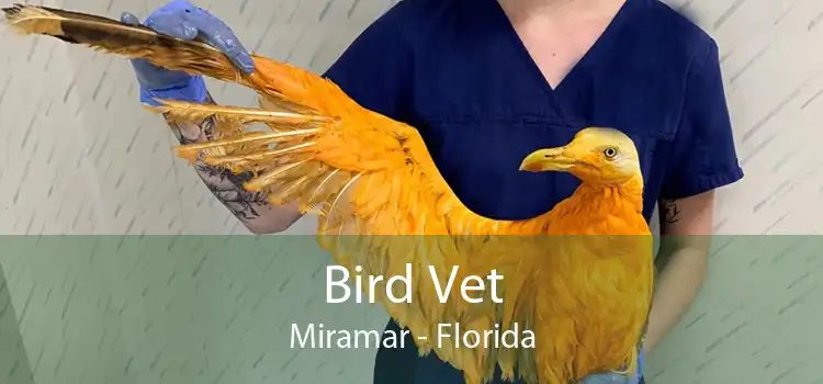 Bird Vet Miramar - Florida