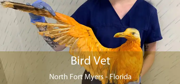 Bird Vet North Fort Myers - Florida