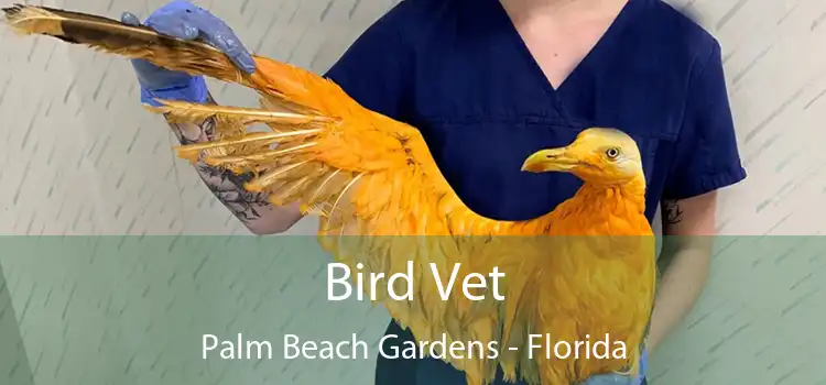 Bird Vet Palm Beach Gardens - Florida