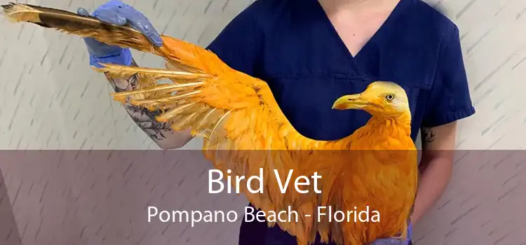 Bird Vet Pompano Beach - Florida