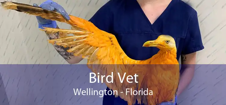 Bird Vet Wellington - Florida