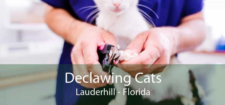 Declawing Cats Lauderhill Cosmetic, Feline, And Laser Declawing Cats