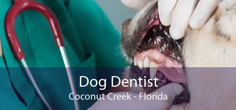 Dog Dentist Coconut Creek - Florida