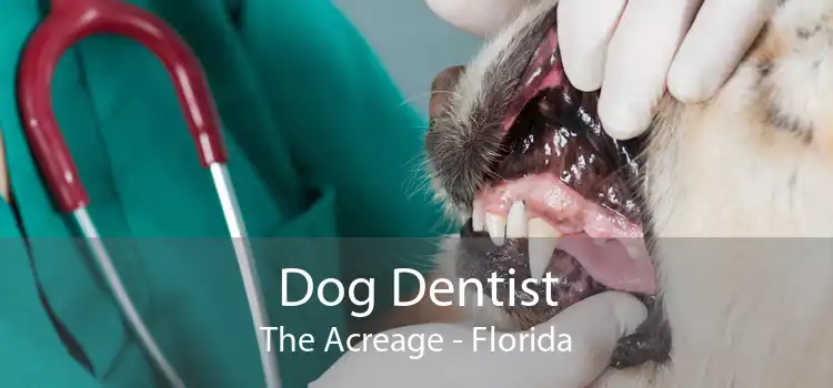 Dog Dentist The Acreage - Florida