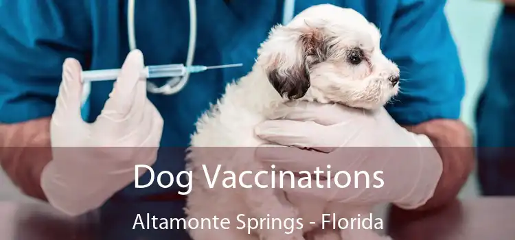Dog Vaccinations Altamonte Springs - Florida
