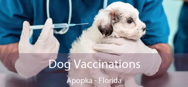 Dog Vaccinations Apopka - Florida