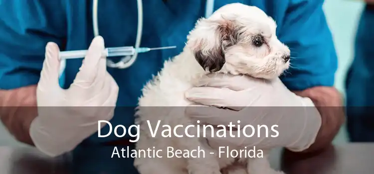 Dog Vaccinations Atlantic Beach - Florida