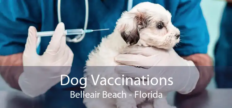 Dog Vaccinations Belleair Beach - Florida