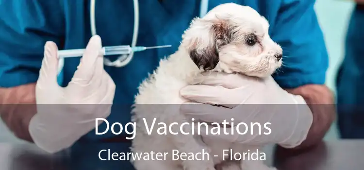 Dog Vaccinations Clearwater Beach - Florida