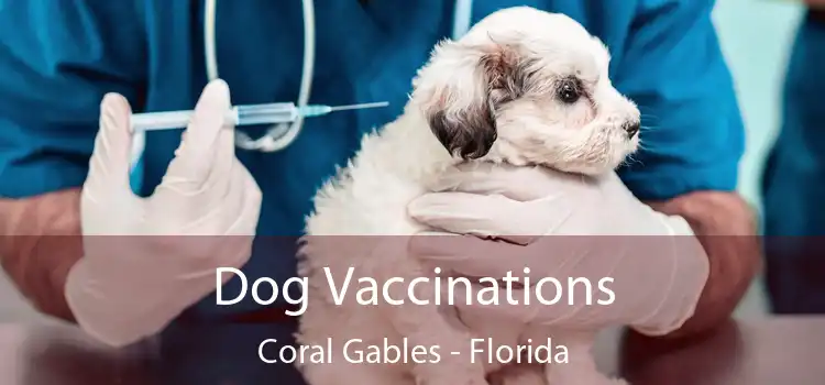 Dog Vaccinations Coral Gables - Florida