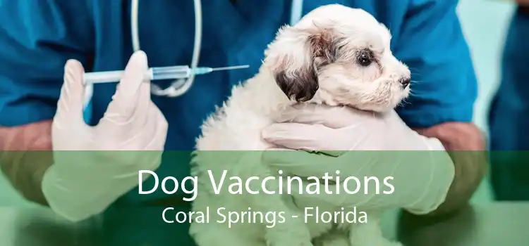 Dog Vaccinations Coral Springs - Florida