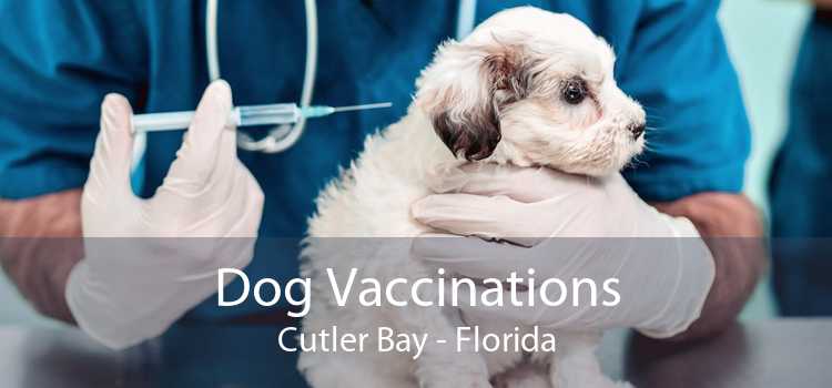 Dog Vaccinations Cutler Bay - Florida