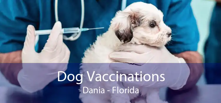 Dog Vaccinations Dania - Florida
