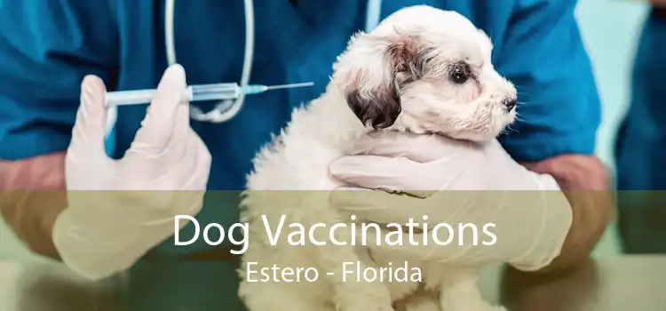 Dog Vaccinations Estero - Florida