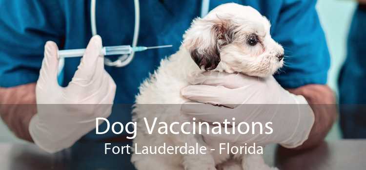 Dog Vaccinations Fort Lauderdale - Florida