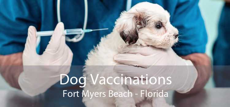 Dog Vaccinations Fort Myers Beach - Florida