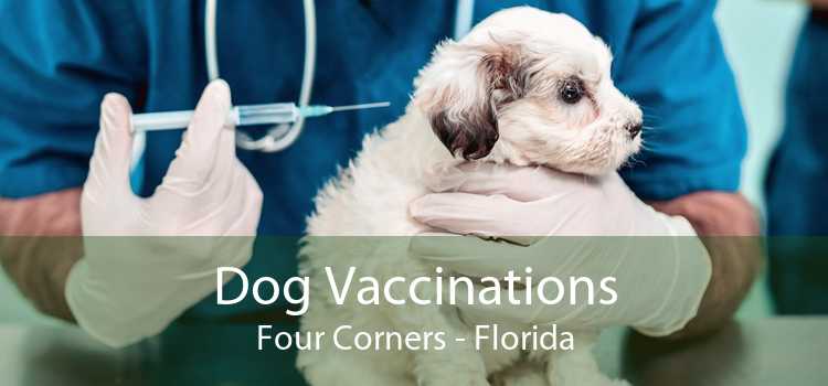 Dog Vaccinations Four Corners - Florida