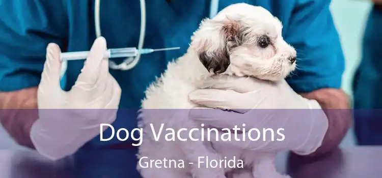 Dog Vaccinations Gretna - Florida