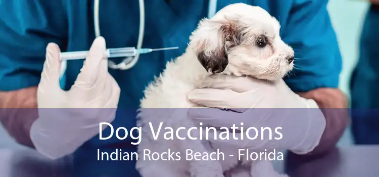 Dog Vaccinations Indian Rocks Beach - Florida