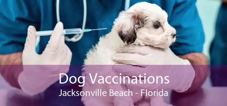 Dog Vaccinations Jacksonville Beach - Florida