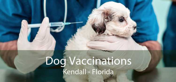 Dog Vaccinations Kendall - Florida