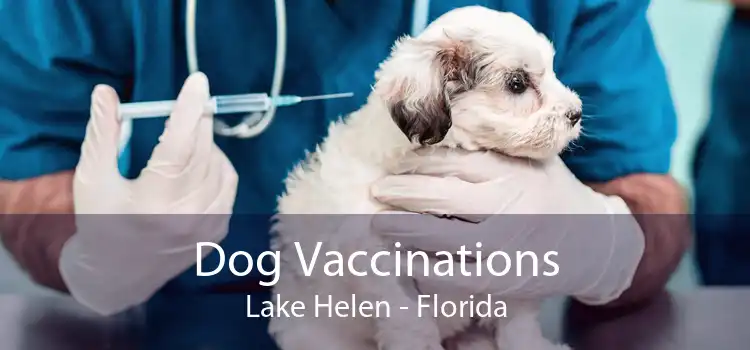 Dog Vaccinations Lake Helen - Florida