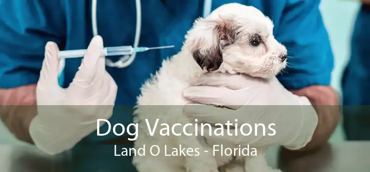 Dog Vaccinations Land O Lakes - Florida
