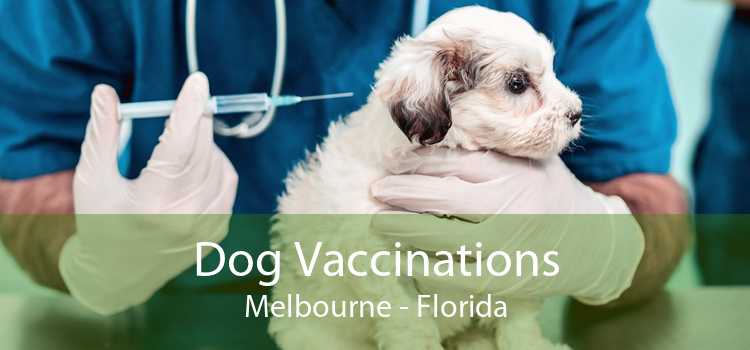 Dog Vaccinations Melbourne - Florida