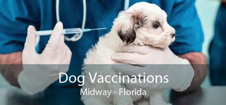 Dog Vaccinations Midway - Florida