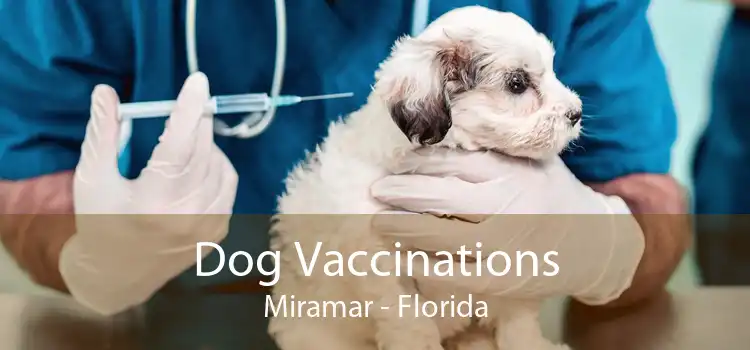 Dog Vaccinations Miramar - Florida