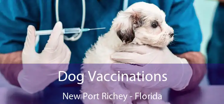 Dog Vaccinations New Port Richey - Florida