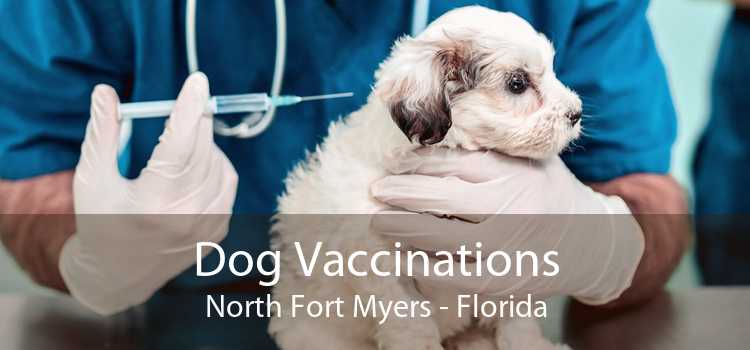 Dog Vaccinations North Fort Myers - Florida