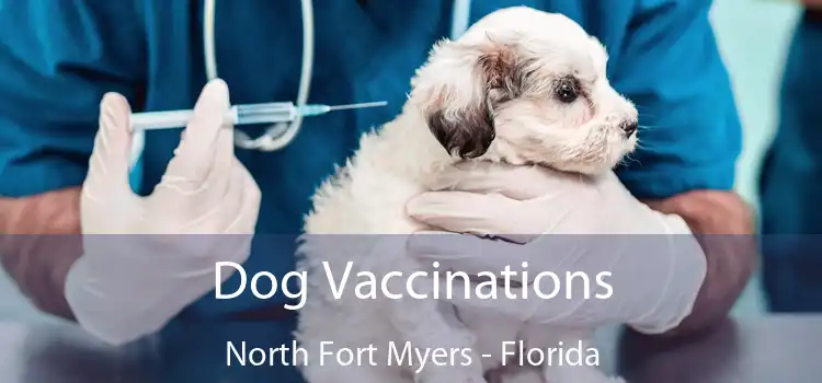 Dog Vaccinations North Fort Myers - Florida