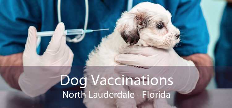 Dog Vaccinations North Lauderdale - Florida