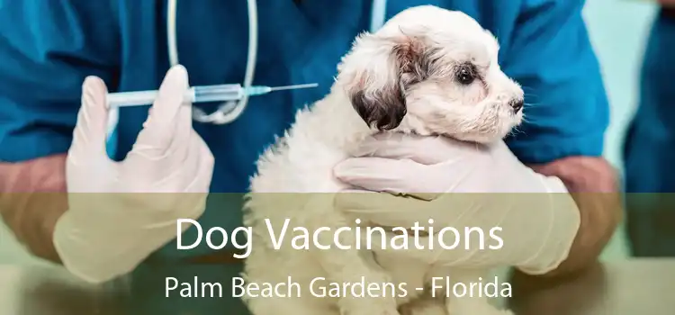 Dog Vaccinations Palm Beach Gardens - Florida