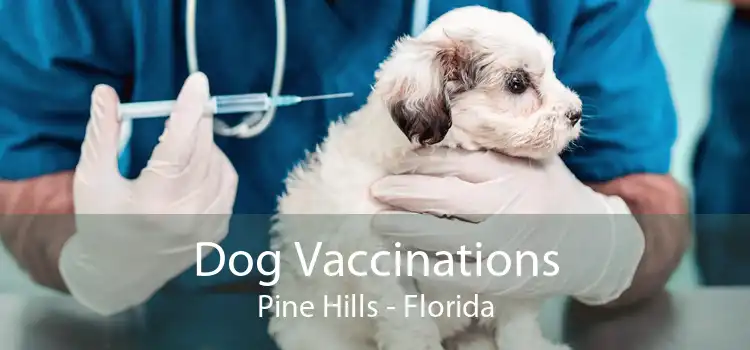 Dog Vaccinations Pine Hills - Florida