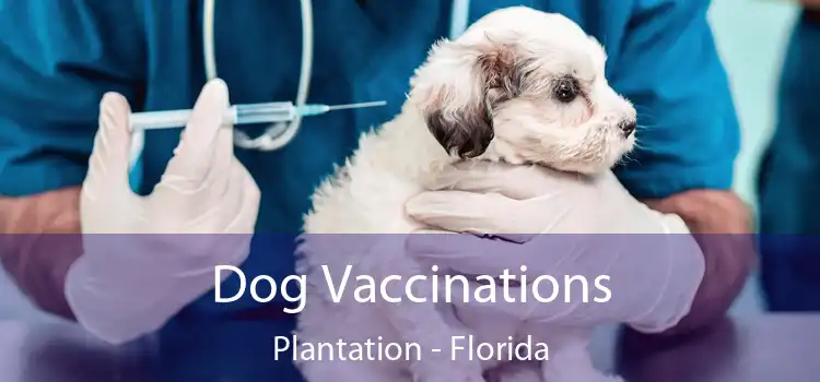 Dog Vaccinations Plantation - Florida