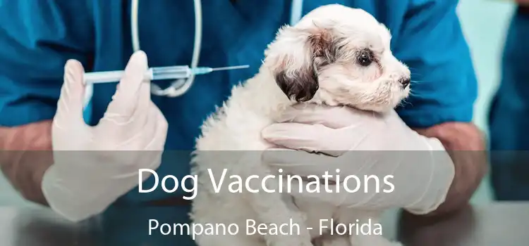 Dog Vaccinations Pompano Beach - Florida