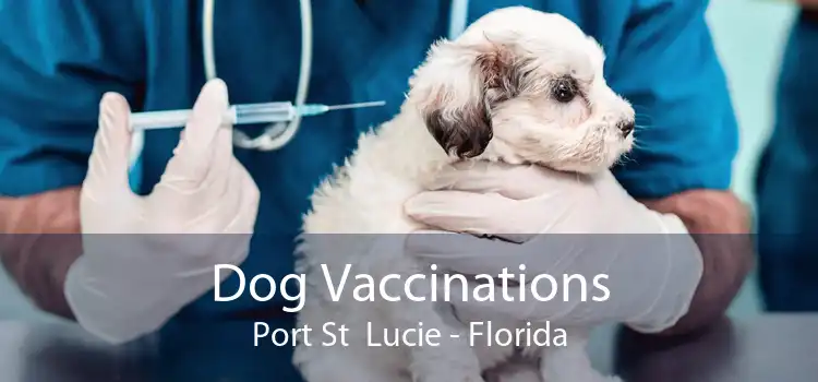 Dog Vaccinations Port St  Lucie - Florida
